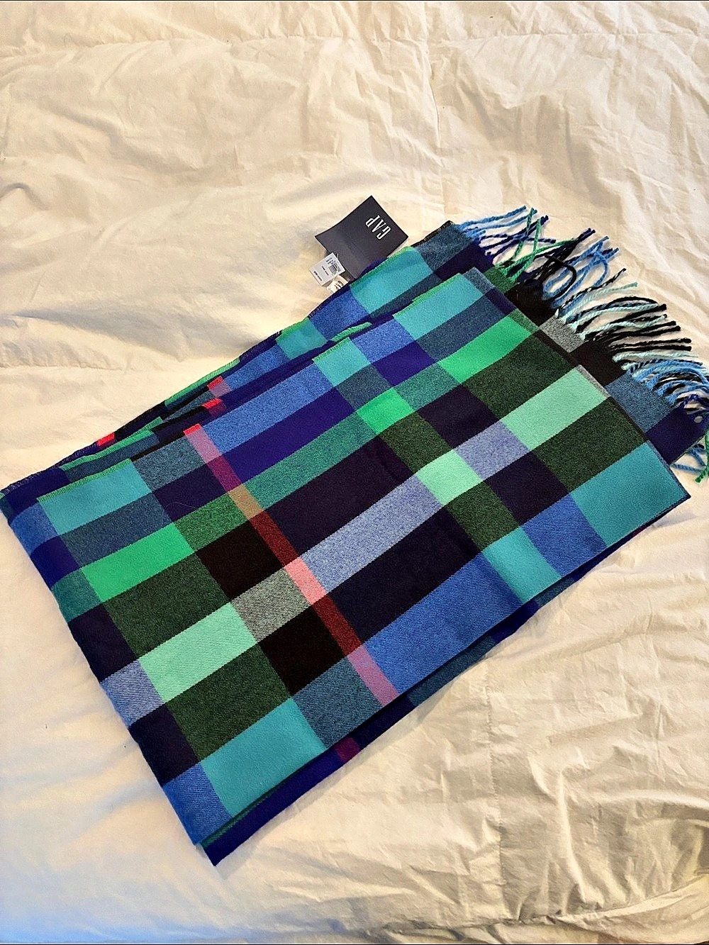GAP Recycled Cozy Scarf Plaid Blue & Green